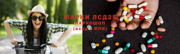 ПСИЛОЦИБИНОВЫЕ ГРИБЫ Вязники