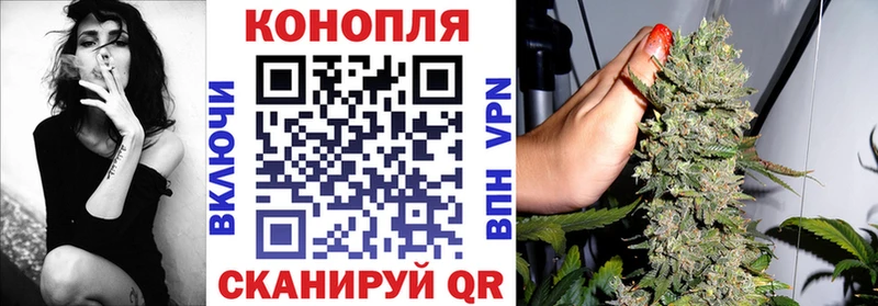 мега маркетплейс  Зеленогорск  нарко площадка какой сайт  Канабис White Widow 